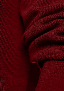 CARMINE MERINO HIGH NECK